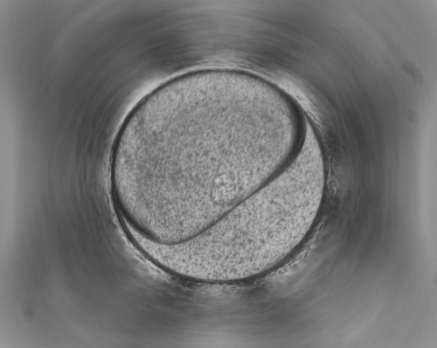 X0000110950950200907101304