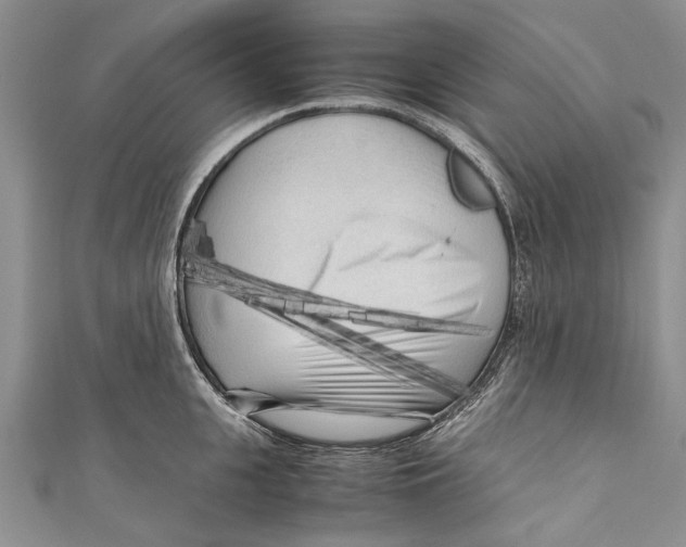 X0000110950951200907101304