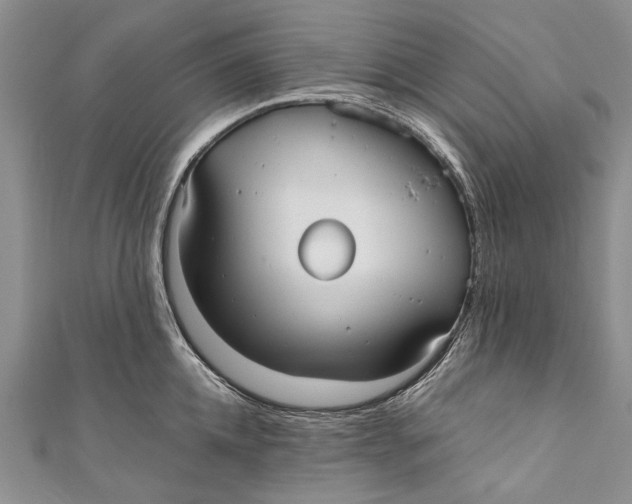 X0000110950952200907101304