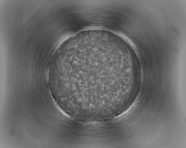 X0000110950953200907101304