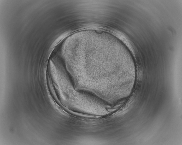 X0000110950954200907101304