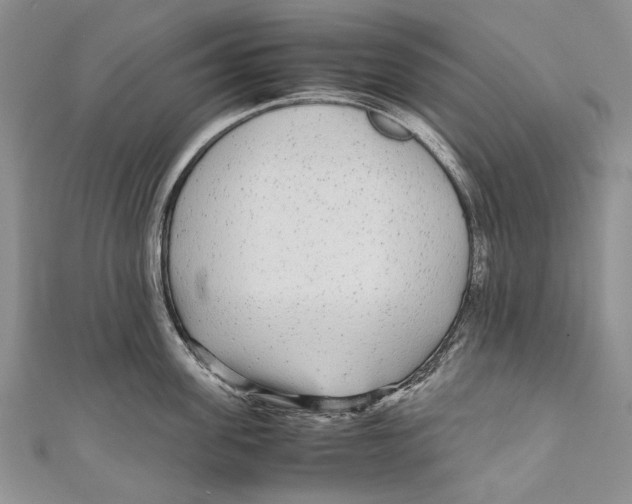 X0000110950955200907101304