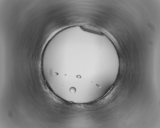 X0000110950956200907101304