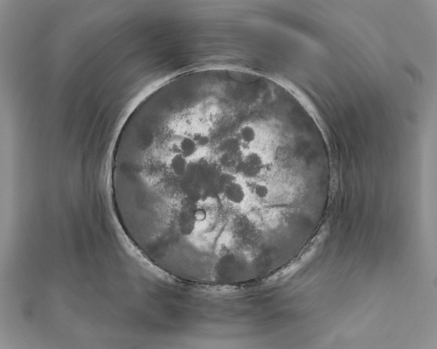 X0000110950957200907101304