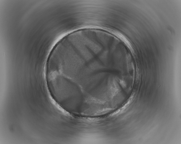 X0000110950958200907101304