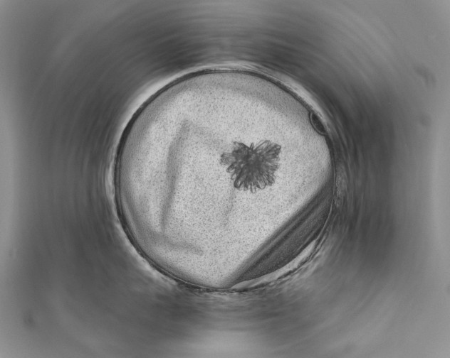 X0000110950959200907101304