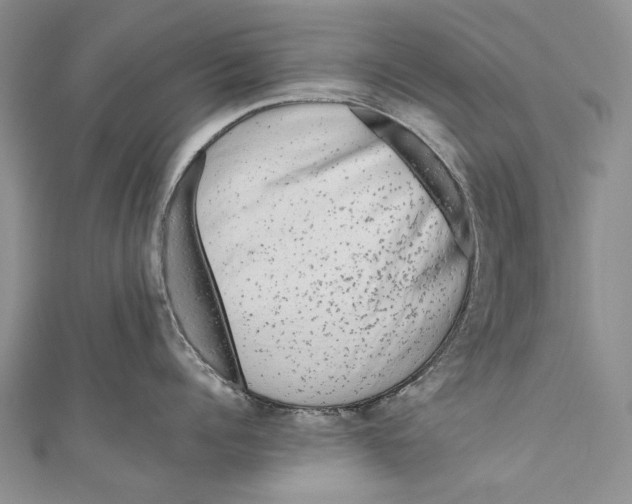 X0000110950960200907101305