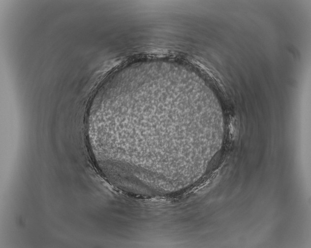 X0000110950961200907101304