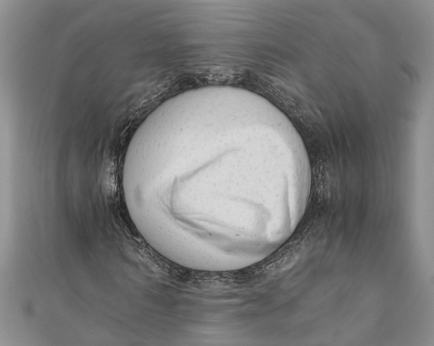 X0000110950962200907101304