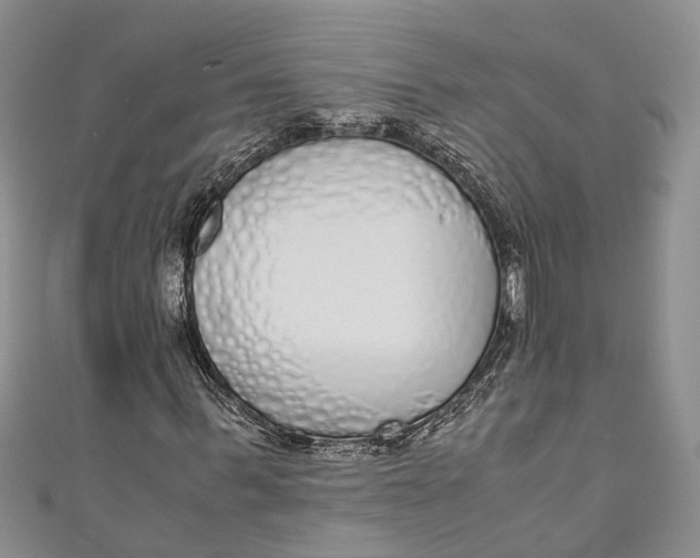 X0000110950963200907101304