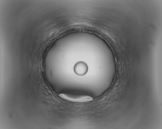 X0000110950965200907101304