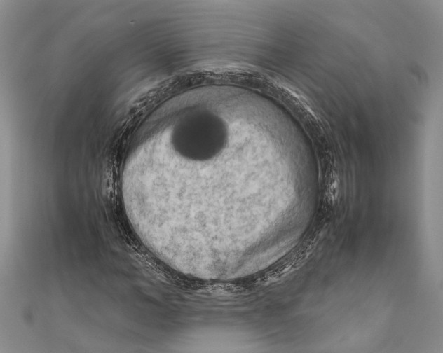 X0000110950966200907101304