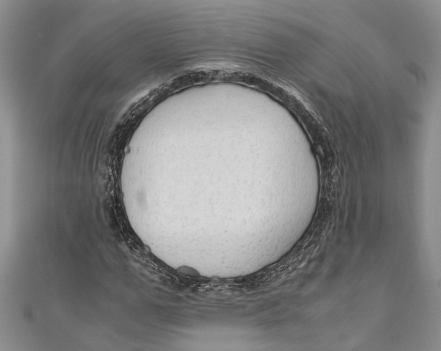 X0000110950967200907101304