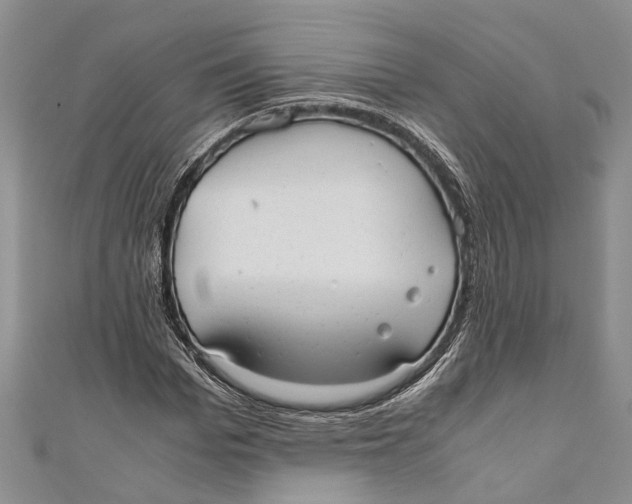 X0000110950969200907101304