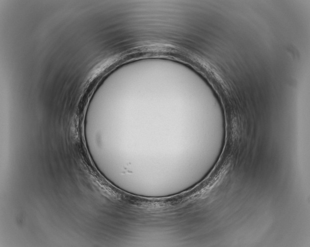 X0000110950970200907101304