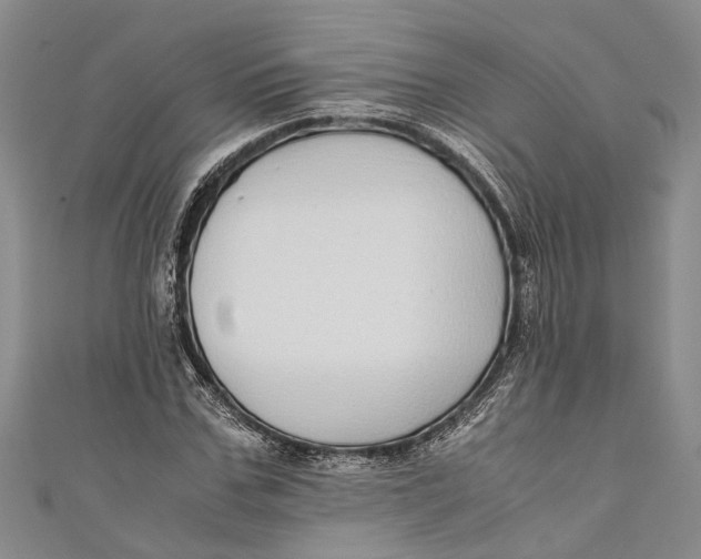 X0000110950971200907101304