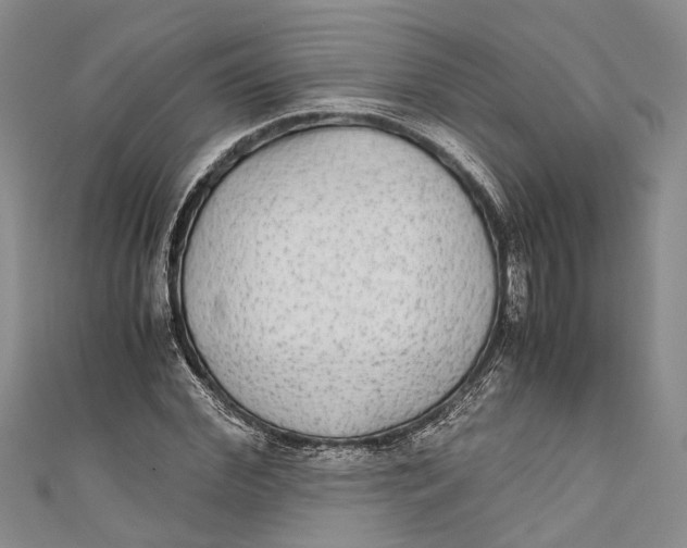 X0000110950972200907101304