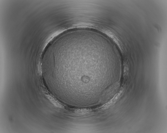 X0000110950973200907101304