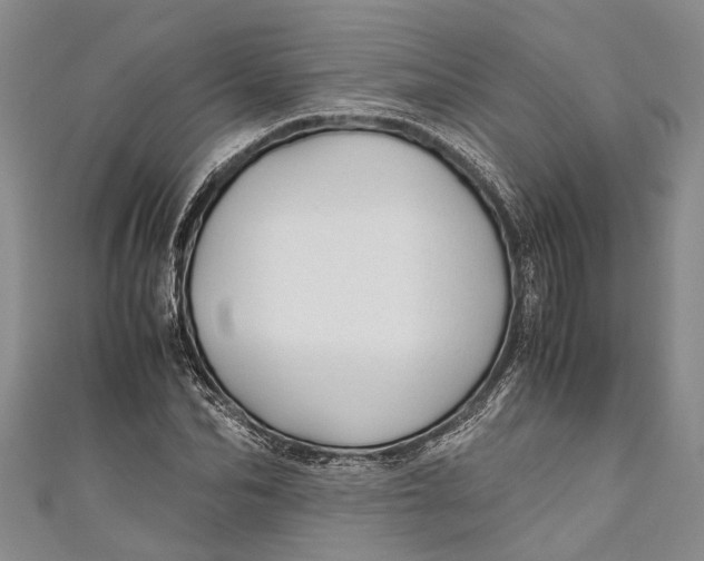 X0000110950974200907101304