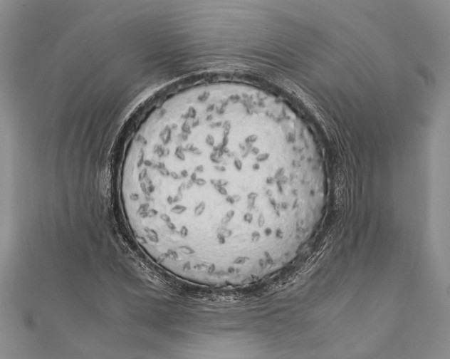 X0000110950975200907101304