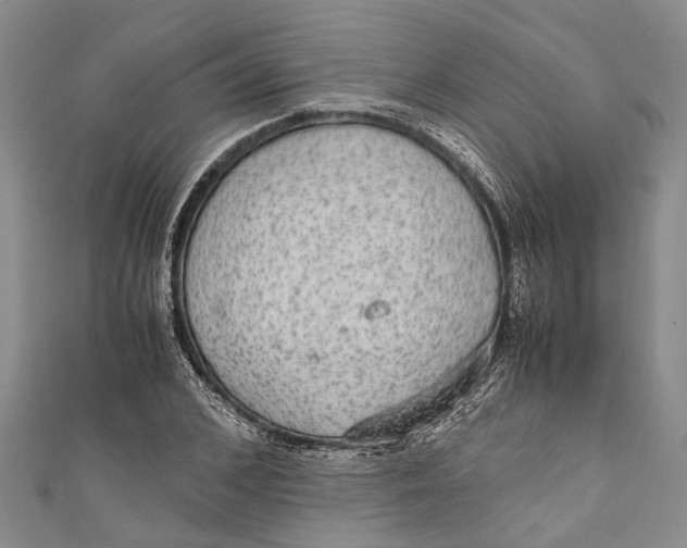 X0000110950976200907101304