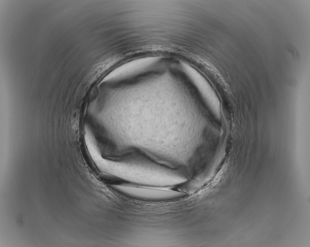 X0000110950977200907101304