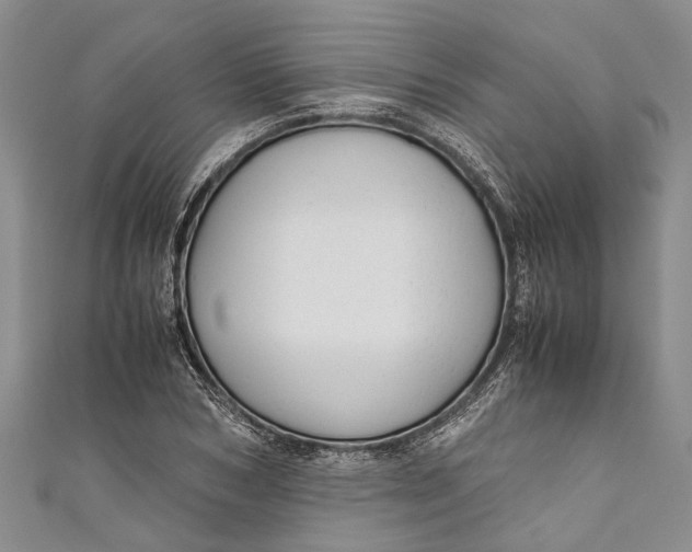 X0000110950978200907101304