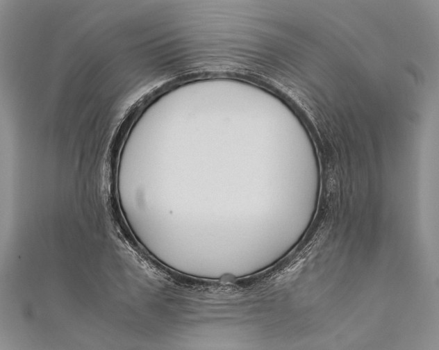 X0000110950979200907101304