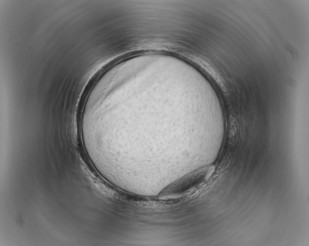 X0000110950980200907101304