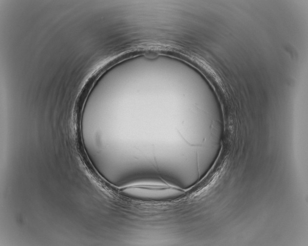 X0000110950981200907101304