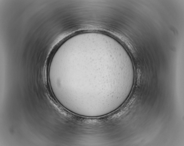 X0000110950982200907101304