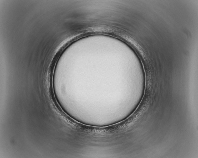 X0000110950983200907101304