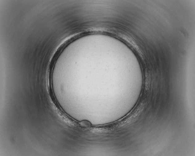 X0000110950984200907101304