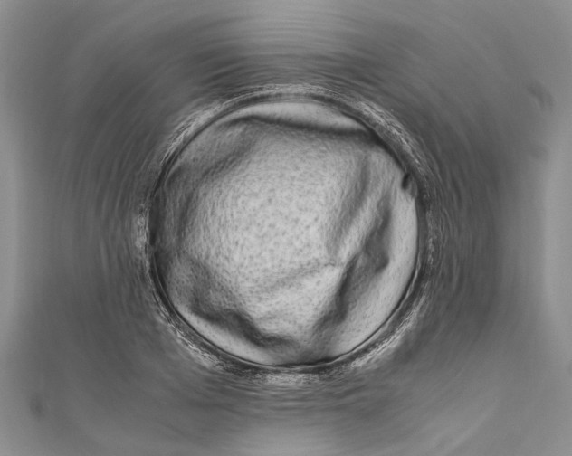 X0000110950985200907101304