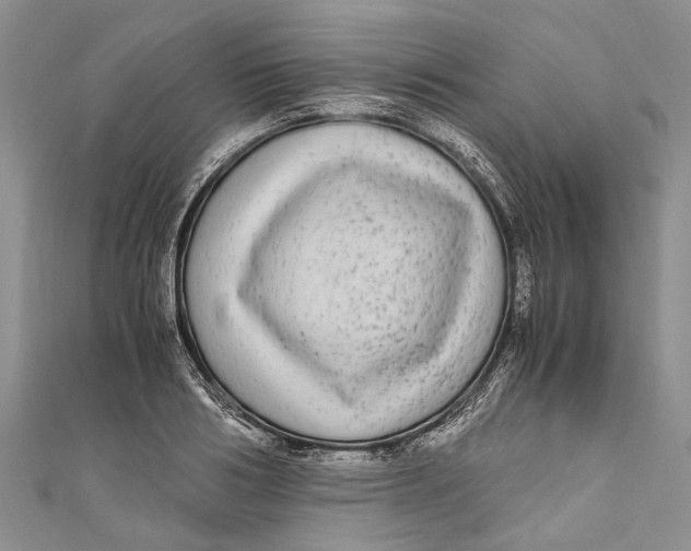 X0000110950986200907101304