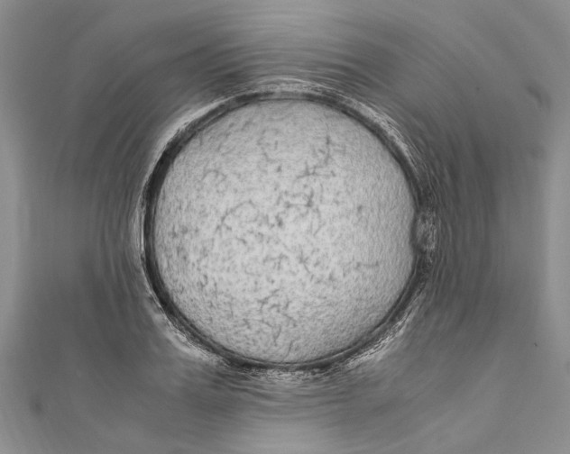 X0000110950987200907101304