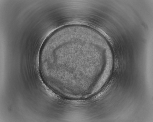 X0000110950988200907101304