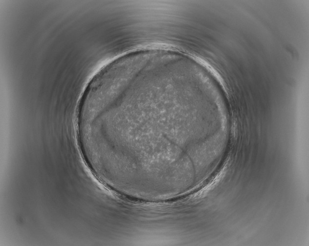 X0000110950989200907101304