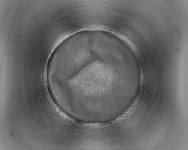 X0000110950990200907101304