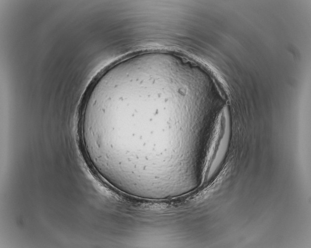 X0000110950991200907101304