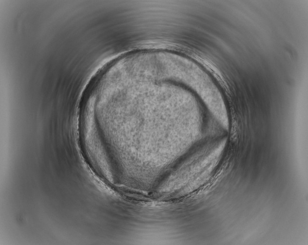 X0000110950992200907101303