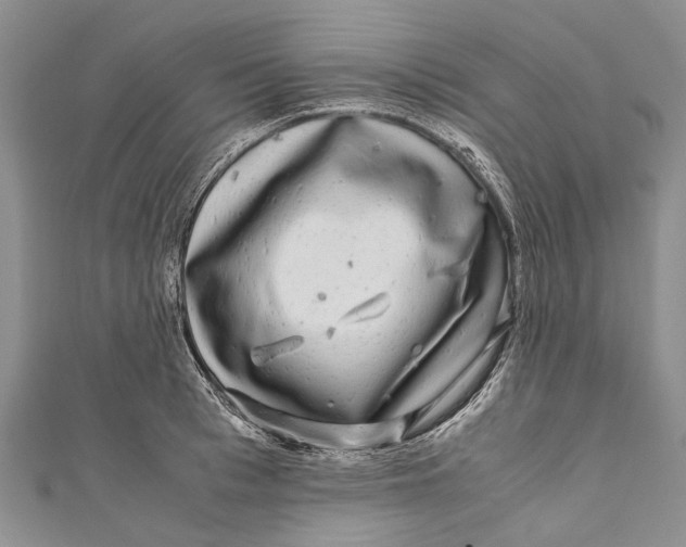 X0000110950993200907101303