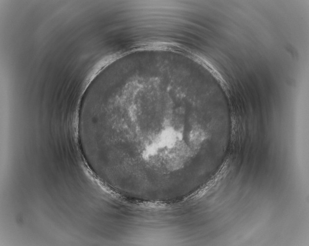 X0000110950994200907101303