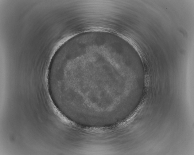 X0000110950995200907101303