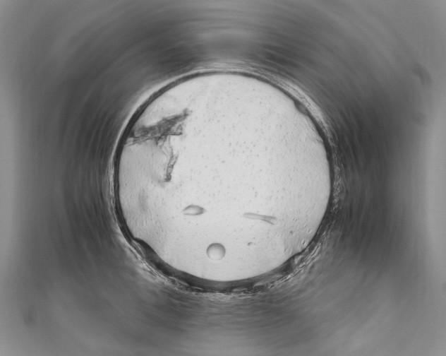 X0000110950996200907101303