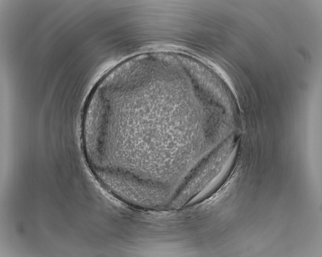 X0000110950997200907101303