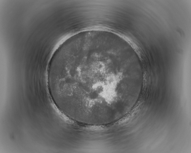 X0000110950998200907101303