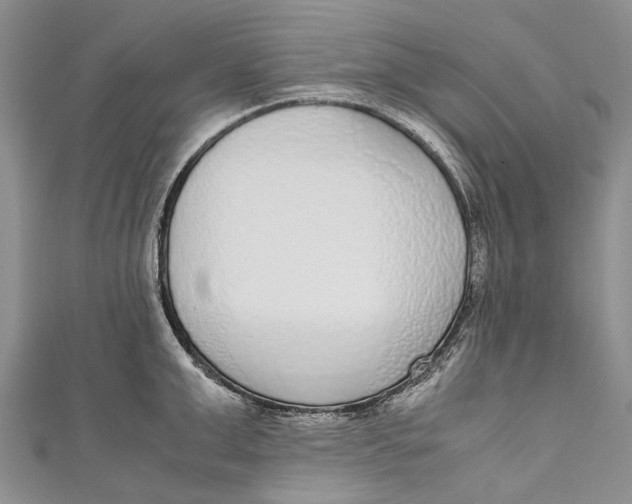 X0000110950999200907101303