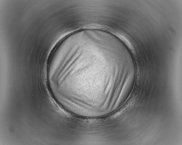 X0000110951000200907101303