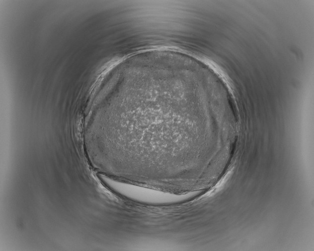 X0000110951001200907101303